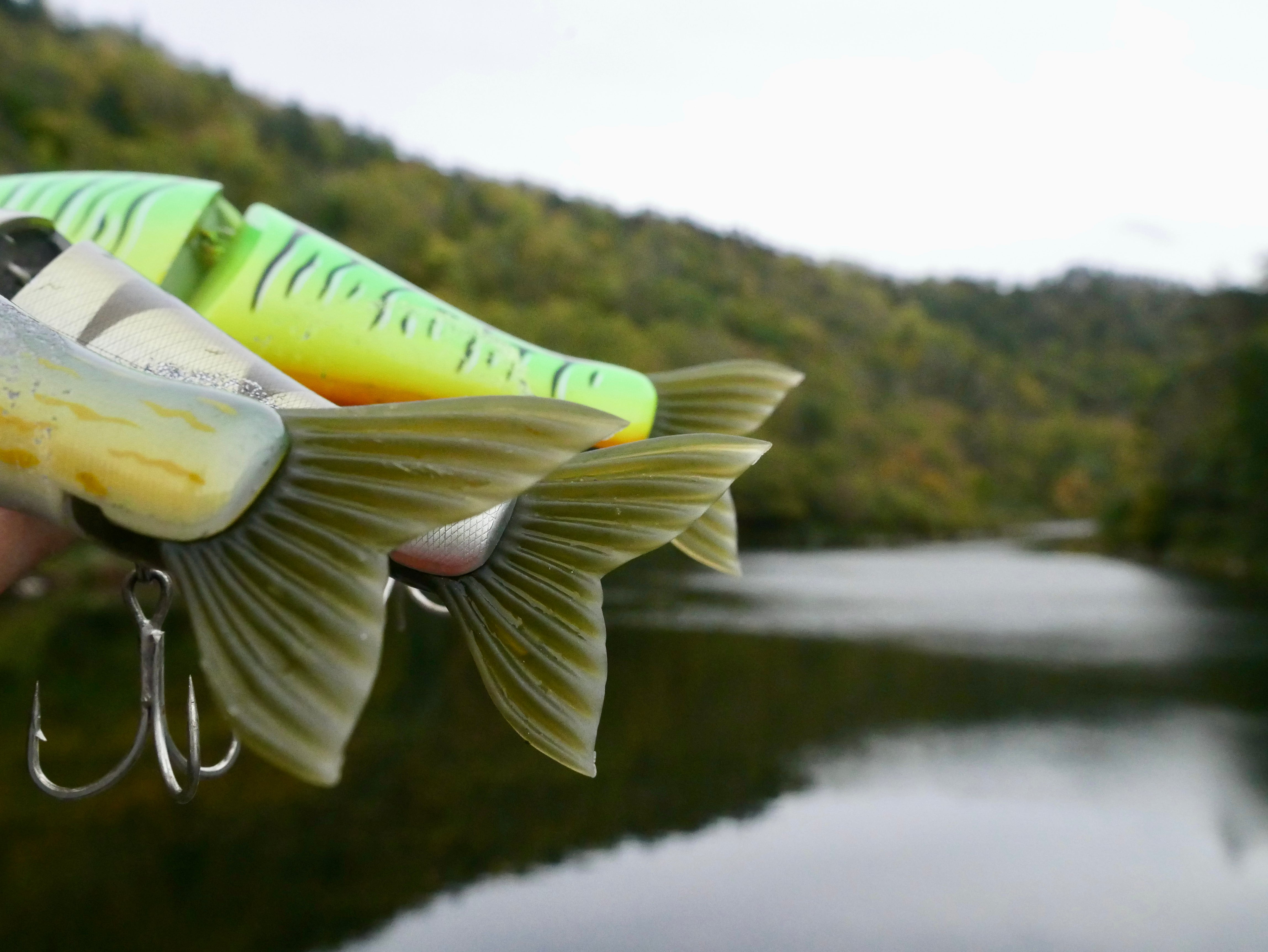 Leurre souple TWINTEEZ PELAGIC V-TAIL de WESTIN