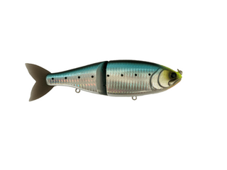 SWIMBAIT REPUBLIC Glideway 176 F
