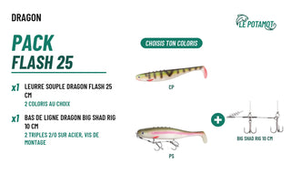 Pack Dragon Flash 25 + Big Shad Rig 10 cm
